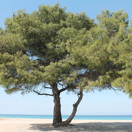 Ferrum House Apartman *