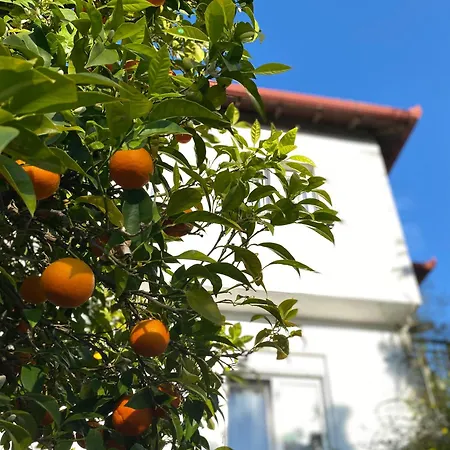 Ferrum House 하니오티