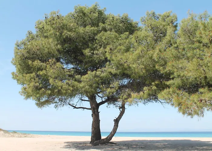 Ferrum House Appartement *